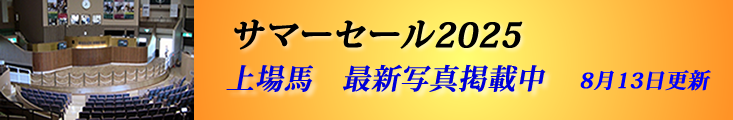 販売馬最新情報