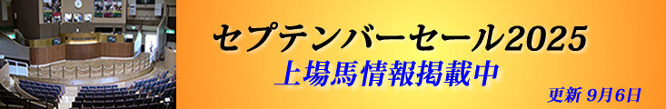販売馬最新情報