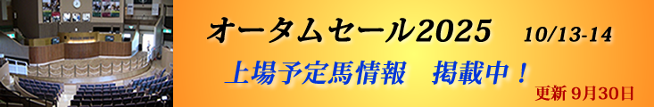 販売馬最新情報