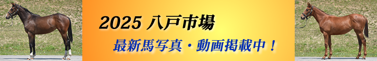 販売馬最新情報