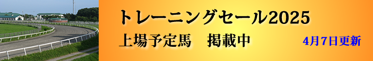 販売馬最新情報